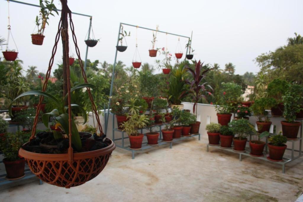 Aaron'S Homestay Kochi Eksteriør billede